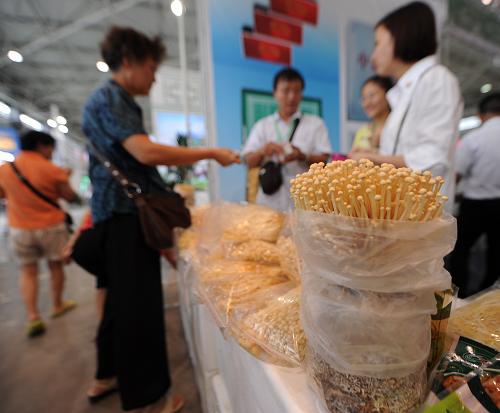 8月29日,市民在農(nóng)交會現(xiàn)場選購貴州綠色生態(tài)金針菇。新華社記者 陶亮 攝