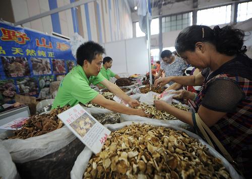 8月29日,市民在選購云南客商帶來的野生菌。當日,由農(nóng)業(yè)部和貴州省人民政府共同舉辦的2013中國·貴陽國際特色農(nóng)產(chǎn)品交易會在貴陽國際會議展覽中心拉開帷幕。本屆農(nóng)交會以“生態(tài)貴州 綠色產(chǎn)品”為主題,集中對果蔬、畜產(chǎn)品、水產(chǎn)品、農(nóng)資、農(nóng)機、旅游休閑食品及現(xiàn)代農(nóng)業(yè)科技成果等方面進行綜合展示。展會為期4天,1200余家參展商和1萬余名國內(nèi)外客商參展。新華社記者 陶亮 攝