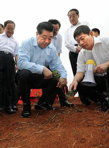 近日,中共中央政治局常委、全國(guó)政協(xié)主席賈慶林在江西調(diào)研。這是6月14日,在宜春市西村現(xiàn)代農(nóng)業(yè)示范園,賈慶林來(lái)到田間地頭,仔細(xì)了解發(fā)展現(xiàn)代農(nóng)業(yè)、推廣農(nóng)業(yè)生產(chǎn)新技術(shù)、農(nóng)民增收等情況。新華社記者 李濤 攝