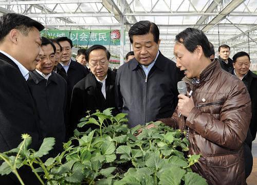 2月14日至15日,中共中央政治局常委、全國(guó)政協(xié)主席賈慶林在北京調(diào)研。這是2月14日,賈慶林在昌平區(qū)草莓博覽園調(diào)研。新華社記者 饒愛(ài)民 攝