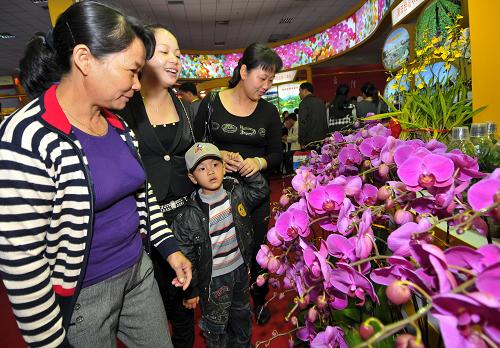 11月18日,觀眾在花博會(huì)上觀賞海峽兩岸共同培育的蝴蝶蘭。當(dāng)日,為期5天的第二屆海峽兩岸現(xiàn)代農(nóng)業(yè)博覽會(huì)、第十二屆海峽兩岸花卉博覽會(huì)在福建漳州花博園開幕。本次博覽會(huì)客商達(dá)到5000多人,為歷年最多。新華社記者 魏培全攝
