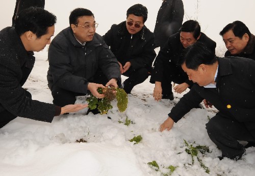 2月1日,李克強在鄰水縣城北鎮(zhèn)羅解村察看蔬菜受災(zāi)情況。 新華社記者 李學(xué)仁 攝