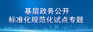 基層政務(wù)公開標(biāo)準(zhǔn)化規(guī)范化試點(diǎn)專題