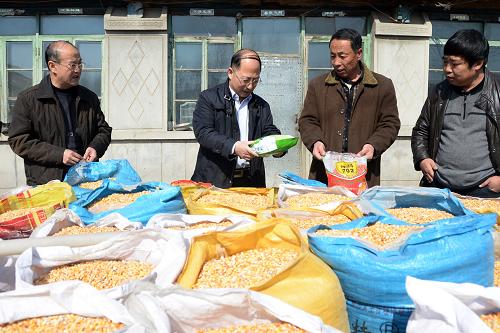 3月13日,吉林省農(nóng)安縣農(nóng)技推廣站科技人員指導農(nóng)戶選用優(yōu)質玉米種。春耕在即,農(nóng)業(yè)科技工作者來到吉林省產(chǎn)糧大縣農(nóng)安縣田間地頭,解答早春作物種植難題,幫助農(nóng)民盡早投入到大規(guī)模備耕工作中。新華社記者 林宏 攝
