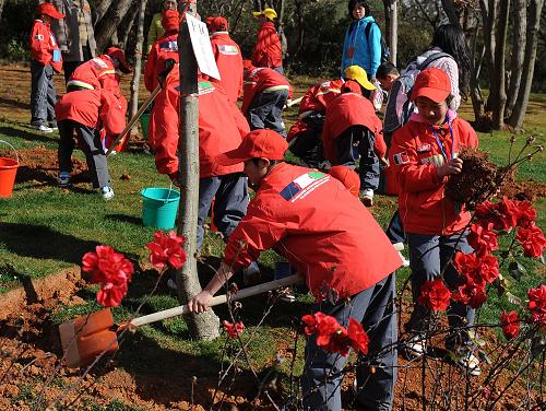 1月5日,來自四川地震災區(qū)安縣的小學生在云南昆明世博園植樹。 新華社記者 藺以光 攝