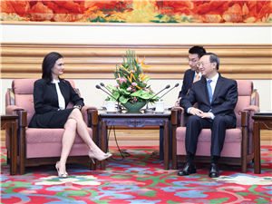 楊潔篪300.jpg