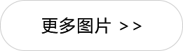 lh2025_tupianshipin_moretp.png