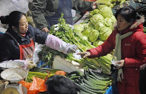 12月11日,市民在銀川一家市場購買蔬菜。據(jù)國家統(tǒng)計局當(dāng)日發(fā)布數(shù)據(jù)顯示,11月份我國居民消費價格指數(shù)(CPI)同比上漲0.6%,由負(fù)轉(zhuǎn)正。新華社記者 王鵬 攝