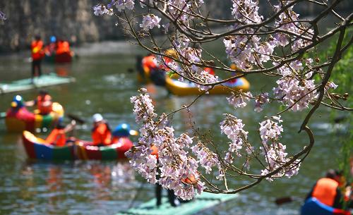 5月3日,眾多市民在京郊懷柔青龍峽景區(qū)劃船休閑。當(dāng)日,“五一”小長(zhǎng)假進(jìn)入最后一天,眾多北京市民郊游熱度不減,紛紛走進(jìn)京郊親近自然,在綠水青山間休閑度假。 新華社發(fā)(卜向東 攝)