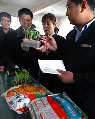 3月19日,寧河縣農(nóng)業(yè)局工作人員檢查玉米種子和玉米種子的發(fā)芽率。 新華社發(fā)(任麗華 攝)