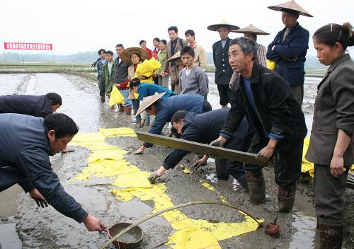 4月3日,種糧大戶學(xué)習(xí)水稻栽培新技術(shù)。當(dāng)日,廣西全州縣舉辦水稻栽培新技術(shù)培訓(xùn)班,推廣“省工、省力、省成本、高產(chǎn)、高效”的水稻隔層育秧等栽培技術(shù),300多名種糧大戶在龍水鎮(zhèn)橋渡村播種育秧培訓(xùn)現(xiàn)場(chǎng)參加培訓(xùn)。