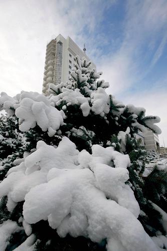 10月16日,一場飛雪過后,黑龍江省大慶市銀裝素裹。受冷空氣影響,中國北方大部迎來新一輪降溫過程。黑龍江哈爾濱、大慶等地紛紛降下今年入冬以來的第一場雪。伴隨著大面積的降雪降溫天氣,黑龍江省各地步入冬季。