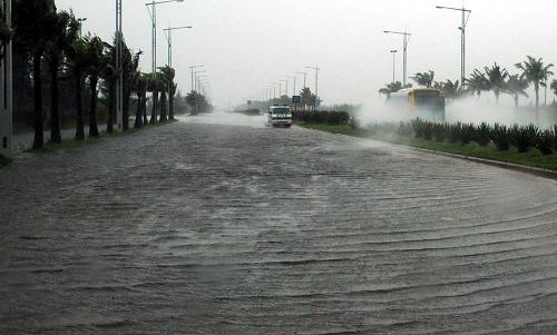 9月24日,汽車行駛在積水的??跒I海大道。今年第14號(hào)強(qiáng)臺(tái)風(fēng)“黑格比”24日6時(shí)45分在廣東省電白縣陳村鎮(zhèn)沿海登陸。受其影響,海南省海口市風(fēng)雨交加,部分路段積水,一些樹(shù)木折斷。新華社記者 姜恩宇 攝