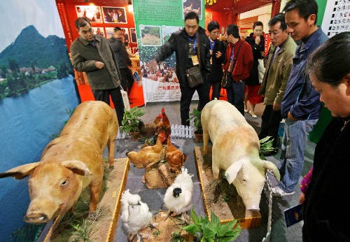 12月12日,食博會(huì)展廳展出的各種優(yōu)質(zhì)禽畜產(chǎn)品標(biāo)本吸引了觀眾的目光。當(dāng)日,第十七屆中國(guó)食品博覽會(huì)暨交易會(huì)在武漢國(guó)際會(huì)展中心開幕。本屆食博會(huì)共設(shè)1200個(gè)展位,來(lái)自全國(guó)21個(gè)省、市、自治區(qū)的57個(gè)地級(jí)以上城市及30個(gè)國(guó)家和地區(qū)的萬(wàn)余種食品參展。新華社發(fā)(李理 攝)
