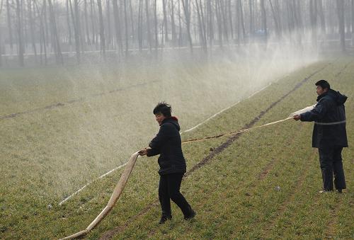 河南省長葛縣老城鎮(zhèn)農(nóng)民在抗旱澆麥(2月3日攝)。新華社記者 趙鵬 攝