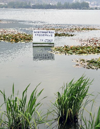 4月17日,滇池草海一處生態(tài)修復(fù)示范水域內(nèi)的水質(zhì)改善明顯。 日前,云南省表示自2008年至2010年,滇池流域水環(huán)境綜合治理工作將開(kāi)展46個(gè)項(xiàng)目,估算總投資將達(dá)297.84億元,重點(diǎn)抓好環(huán)湖截污、環(huán)湖公路、環(huán)湖生態(tài)、入湖河道治理、底泥疏浚、外流域引水等六大工程措施。 新華社記者 鄒崢 攝