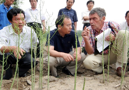 6月3日,荷蘭農(nóng)業(yè)專家揚(yáng)·波爾在江蘇贛榆縣歡墩鎮(zhèn)黃泥溝村無(wú)公害蘆筍基地傳授技術(shù)。近年來(lái),江蘇省贛榆縣大力發(fā)展農(nóng)村特色種植業(yè),目前已形成蘆筍、大櫻桃、黑莓等特色種植基地。為了讓種植戶掌握科學(xué)的種植技術(shù),該縣經(jīng)常聘請(qǐng)國(guó)內(nèi)外專家進(jìn)村入戶,深入田間地頭開(kāi)展實(shí)用技術(shù)講座和指導(dǎo)。 新華社發(fā)(司偉 攝)