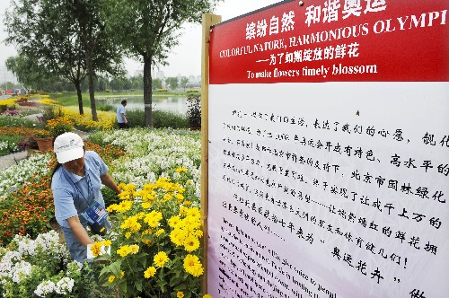 7月30日,花卉養(yǎng)護(hù)員在為“奧運(yùn)花卉”插上名牌。新華社記者 李紫恒 攝