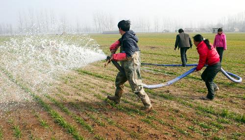 2月1日,安徽淮北市濉溪縣鐵佛鎮(zhèn)鐵佛村一戶村民在麥地旁的大溝邊架起了從親戚家借來的水泵,忙著抗旱。安徽省防汛抗旱指揮部近日發(fā)布旱情通報介紹,去年10月下旬以來,安徽合肥以北地區(qū),特別是淮北地區(qū)降雨嚴(yán)重偏少,發(fā)生了嚴(yán)重旱情。據(jù)統(tǒng)計,安徽省受旱面積已經(jīng)達(dá)到2417萬畝,其中嚴(yán)重受旱面積1200多萬畝。目前,安徽省掀起抗旱保苗新高潮,最大限度減輕旱災(zāi)造成的損失。新華社發(fā)(李博攝)