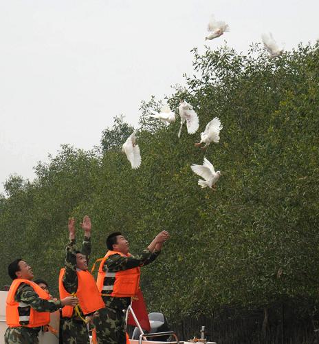2月2日,廣東中山邊防支隊(duì)官兵在濕地保護(hù)區(qū)放養(yǎng)候鳥。新華社發(fā)(李松林?jǐn)z)