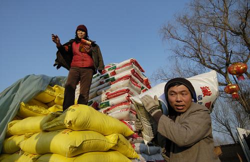 2月5日,在吉林省德惠市布海鎮(zhèn)一個(gè)化肥銷(xiāo)售點(diǎn),一位農(nóng)民正在購(gòu)買(mǎi)化肥。新華社記者 邵守志 攝