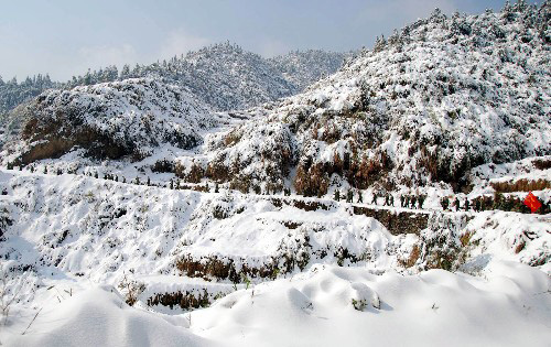 2月3日,安徽黃山市軍民1500多人行進在白雪皚皚的深山中,參與破冰除雪。當日,駐安徽黃山市的解放軍、武警、民兵預備役部隊以及黃山市公路部門和休寧縣干部群眾共1500多人,在205國道茶子嶺段的深山中奮戰(zhàn)10多個小時破冰除雪,確保這條連接安徽與浙江兩省的交通要道暢通。自1月24日以來,由于連續(xù)降雪,位于休寧縣的205國道茶子嶺段盤山公路全線封閉,地面積雪最深達50多厘米,大面積結(jié)冰和積雪對公路交通造成重大影響。 新華社發(fā)(虞俊杰 攝)