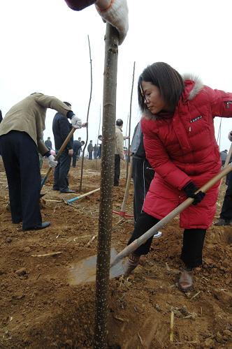 3月12日,市民在石家莊義務(wù)植樹基地植樹。當日是我國第31個植樹節(jié),河北省石家莊市數(shù)千名群眾來到義務(wù)植樹基地進行義務(wù)植樹。 新華社記者 鞏志宏 攝