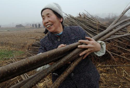 3月12日,在石家莊義務(wù)植樹基地,一名婦女正在搬運樹苗。 新華社記者 鞏志宏 攝