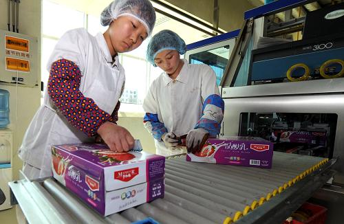 在新疆麥趣爾乳業(yè)有限公司包裝車(chē)間內(nèi),工人包裝袋裝奶(4月2日攝)。 新華社記者 趙戈 攝