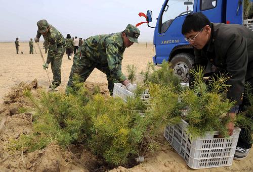 造林隊員在京津周邊沙源治理工程項目區(qū)——內(nèi)蒙古克什克騰旗生態(tài)建設(shè)項目區(qū)內(nèi)栽植松樹苗(2009年5月攝)。自2000年國家啟動京津風(fēng)沙源治理工程以來,內(nèi)蒙古自治區(qū)累計投入生態(tài)建設(shè)資金170多億元,生態(tài)治理總面積超過2.7億畝。全區(qū)十多萬林業(yè)職工、造林隊員和志愿者扎根大漠,造林治沙,用辛勤汗水澆灌北疆“綠色長城”。同時,林業(yè)生態(tài)管理部門著力實施退耕還林、退牧還草、季節(jié)性休牧等措施,草原生態(tài)環(huán)境得到明顯改善。截至2009年初,內(nèi)蒙古自治區(qū)森林總面積居全國第一位,森林覆蓋率達(dá)到17.5%,成為祖國北疆最重要的生態(tài)屏障。新華社記者 張領(lǐng) 攝