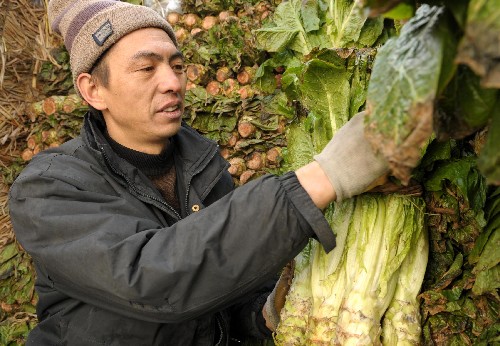 烏魯木齊蔬菜批發(fā)價(jià)格回落三成 新華社照片,烏魯木齊,2008年2月19日 烏魯木齊蔬菜批發(fā)價(jià)格回落三成 2月19日,一位蔬菜經(jīng)銷商在整理產(chǎn)自四川的萵筍。當(dāng)日,新疆最大的蔬菜批發(fā)中心――烏魯木齊北園春農(nóng)產(chǎn)品中心批發(fā)市場的各種新鮮蔬菜批發(fā)價(jià)格比春節(jié)前出現(xiàn)了30%至40%回落。 新華社記者 趙戈 攝