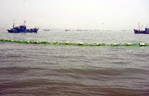 青島1100多艘漁船參與海上打撈滸苔 新華社照片,青島,2008年7月6日 青島1100多艘漁船參與海上打撈滸苔 7月6日,在銀海帆船訓(xùn)練基地,漁船采用“網(wǎng)兜式”作業(yè)打撈滸苔。來自青島、日照、煙臺(tái)、威海等城市的1100多艘漁船參與了海上打撈滸苔行動(dòng)。截至7月5日,青島海陸已清理滸苔40多萬噸,奧帆賽場(chǎng)及鄰近海域的水質(zhì)繼續(xù)保持國家海水一類水質(zhì)標(biāo)準(zhǔn),符合奧帆賽水質(zhì)要求。 新華社記者范長(zhǎng)國攝