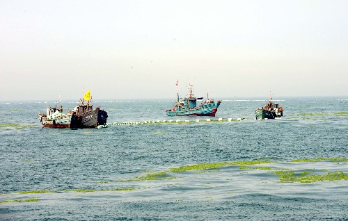奧帆賽競賽水域圍油欄布設(shè)完畢 新華社照片,青島,2008年7月12日 奧帆賽競賽水域圍油欄布設(shè)完畢 7月12日,奧帆賽競賽水域外圍用于攔截滸苔的圍油欄布設(shè)完畢。據(jù)青島海事局介紹,這條總長2.2萬米的海上隔離防護設(shè)施,在7級以下風(fēng)力條件下可對漂移的滸苔進行有效攔截。距圍油欄100米、直線長達2萬米的流網(wǎng)防線已于11日布設(shè)完畢,從目前對滸苔的攔截情況看,效果明顯。圍油欄布設(shè)后,將和流網(wǎng)協(xié)同攔截滸苔,不必再擔(dān)心外海滸苔隨風(fēng)漂流進入,侵?jǐn)_原本已完成打撈的區(qū)域,同時可確保對奧帆賽競賽水域內(nèi)剩余的零星滸苔進行徹底清除。這是7月10日,漁船在奧帆競賽水域布設(shè)圍油欄。 新華社記者范長國攝
