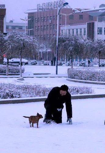 3月30日清晨,一位烏蘭浩特市民在雪中遛狗。