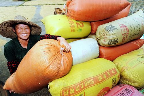 這是2009年8月15日,福建省建陽市溪源村種糧大戶許春玉在糧食收購點賣糧。 新華社記者 張國俊 攝