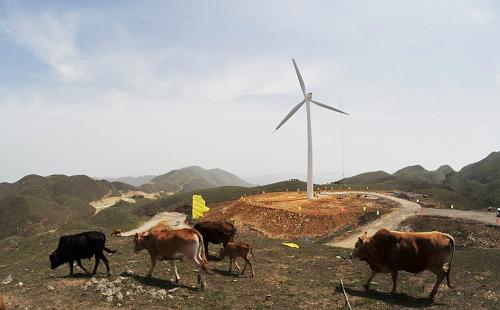 4月28日,貴州省臺江縣紅陽草場試風(fēng)力發(fā)電樣機正在試運行。 當(dāng)日,貴州首個風(fēng)力發(fā)電機在貴州省黔東南苗族侗族自治州州臺江縣紅陽草場開始試運行。紅陽草場風(fēng)電項目總裝機容量為150至200兆瓦,計劃第一期裝機4.95萬千瓦,并于2013年前建成15萬千瓦的規(guī)模。目前兩臺800千瓦的風(fēng)力發(fā)電機組已經(jīng)安裝完畢,兩臺樣機已全部接入系統(tǒng)開始試運行。 新華社記者 歐東衢 攝