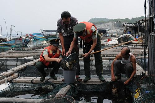 9月18日,福建海警三支隊(duì)官兵幫助漁民搶收海產(chǎn)品。 當(dāng)日,福建海警第三支隊(duì)派出警艇來到轄區(qū)漁港,海警官兵通過傳單、漁業(yè)臺(tái)廣播等方式對(duì)漁民進(jìn)行防臺(tái)風(fēng)宣傳,讓海上作業(yè)的漁民盡早回港避風(fēng)。 中央氣象臺(tái)18日發(fā)布臺(tái)風(fēng)紅色預(yù)警,強(qiáng)臺(tái)風(fēng)“凡亞比”強(qiáng)度將繼續(xù)加強(qiáng),或?qū)l(fā)展成為超強(qiáng)臺(tái)風(fēng)。受其影響,臺(tái)灣和東南沿海將遭遇狂風(fēng)暴雨。 新華社發(fā)(黃志民 攝)