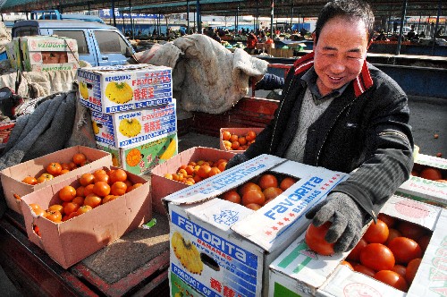 2月18日,寧夏賀蘭縣立崗鎮(zhèn)蔬菜基地菜農(nóng)馬云愧正在銀川北環(huán)蔬菜批發(fā)市場銷售西紅柿。 連日來,隨著銀川市各主要蔬菜種植基地災(zāi)后生產(chǎn)恢復(fù)正常,加上公路交通運(yùn)輸?shù)臅惩?,銀川市各蔬菜批發(fā)市場貨源充足,價(jià)格開始平穩(wěn)回落,西紅柿、黃瓜、西芹、豆角兒等常見蔬菜價(jià)格較春節(jié)期間下降20%以上。 新華社記者 李紫恒 攝