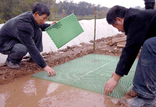 2月26日,四川宜賓市長寧縣農(nóng)業(yè)服務(wù)中心的技術(shù)人員在幫助該縣下長鎮(zhèn)的村民鋪設(shè)水稻旱育秧板。這種育秧板一張可栽種400多株秧苗,一個人一天可以完成4畝左右水稻秧苗的栽種,是一種省水、省力的水稻栽種技術(shù)。 長寧縣今年春節(jié)前后遭受50年一遇的雨雪冰凍災(zāi)害,全縣70%以上農(nóng)戶受災(zāi)。災(zāi)后重建中,長寧縣率先啟動了春耕播種工作。截至2月27日,長寧縣已經(jīng)播種水稻種10萬公斤。 新華社記者 江毅 攝