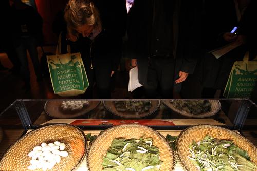 11月10日,在美國紐約自然歷史博物館,觀眾參觀“絲綢之路”大型展覽。 新華社記者 劉欣 攝