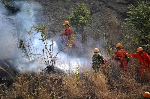 3月4日,在廣西百色市西林縣古障鎮(zhèn)媽蒿屯太平王子山馬場溝一帶,消防人員正在撲滅山林火災(zāi)。新華社記者 周華 攝