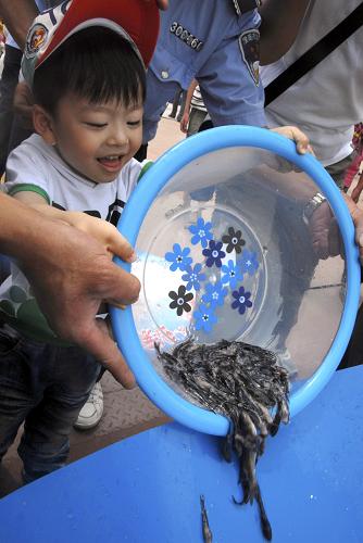 6月6日,安徽淮南市的一名小朋友將人工繁殖的淮河珍稀魚(yú)種江黃顙的魚(yú)苗投放淮河。當(dāng)日,2010年安徽省淮河流域漁業(yè)資源同步增殖放流活動(dòng)在淮南市啟動(dòng),阜陽(yáng)、蚌埠、六安、滁州也同時(shí)進(jìn)行了放流活動(dòng)。這是安徽省首次在淮河流域?qū)嵤┐笠?guī)模同步增殖放流行動(dòng),計(jì)劃放流鰱、草、青、鯉、鯽、江黃顙等魚(yú)苗1917萬(wàn)尾,整個(gè)放流活動(dòng)將于6月底完成。新華社發(fā)(陳彬 攝)