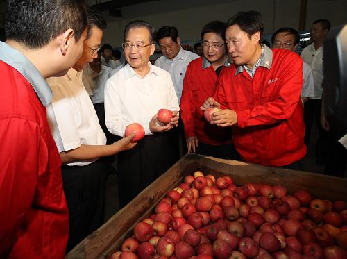 這是7月16日,溫家寶在陜西華圣果業(yè)公司向企業(yè)負(fù)責(zé)人詳細(xì)詢問蘋果出口情況。新華社記者 樊如鈞 攝