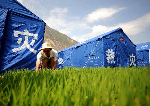6月9日,文縣城關(guān)鎮(zhèn)元茨頭村村民在臨時帳篷旁的田地里育苗。在地震中受災(zāi)嚴重的甘肅省隴南市文縣積極組織群眾進行生產(chǎn)自救,目前已完成夏播兩萬多畝。新華社記者 聶建江 攝