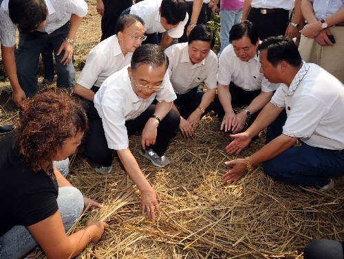 9月1日,溫家寶在德陽市孝泉鎮(zhèn)涌泉村視察農(nóng)業(yè)生產(chǎn)情況,向搶種洋芋的村民詢問洋芋的種植方法、產(chǎn)量和收入情況。新華社記者 黃敬文 攝