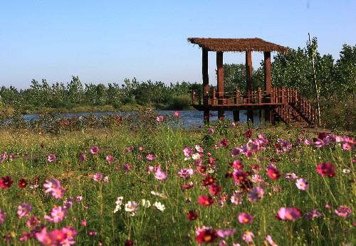 北戴河濕地內(nèi)的景色(9月1日攝)。新華社記者 楊世堯 攝