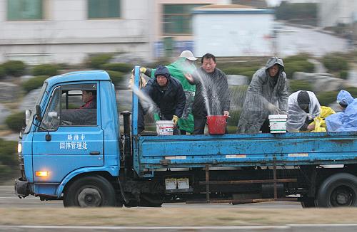 3月14日,威海園林工人冒雨為綠化帶播撒肥料。當(dāng)日,山東威海降下春雨,雖然給人們出行帶來不便,但是對農(nóng)作物返青極為有利。新華社發(fā)(于啟波 攝)