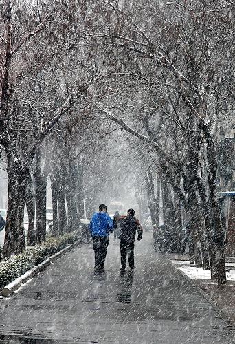 3月14日,群眾冒雪走在天津街頭。當(dāng)日,受冷空氣影響,天津市區(qū)出現(xiàn)雨雪天氣。新華社發(fā)(劉嘉琪 攝)