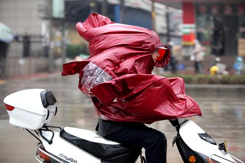 3月14日,河南省許昌市一名群眾穿著雨披在雨中騎行。當(dāng)日,河南許昌普降春雨,氣溫也隨之下降,給人們出行帶來不便。新華社發(fā)(牛書培 攝)