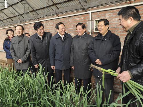 這是胡錦濤在北京金福藝農(nóng)農(nóng)業(yè)科技發(fā)展有限公司的溫室大棚,實地察看蔬菜生產(chǎn)情況。新華社記者 李學(xué)仁 攝